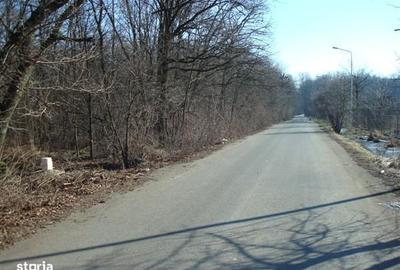 Spațiu comercial, în Dragomirești-Vale - 2