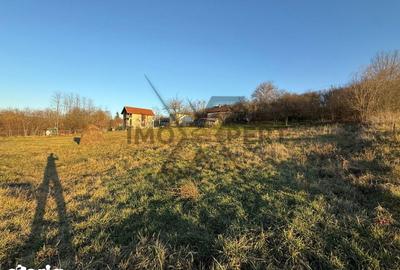 Casă cu 2 camere cu Teren 3200 Mp în Borșa - 4