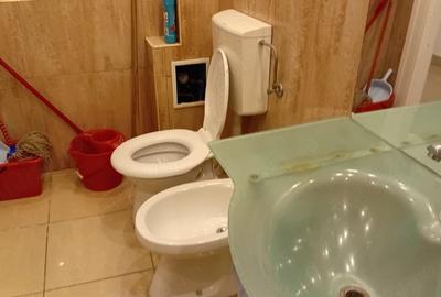 Apartament cu 2 camere semidecomandat în Micălaca - 9