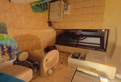 Casă cu 2 camere cu Teren 250 Mp în Lunei - 10