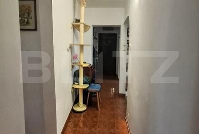 Apartament cu 4 camere decomandat, mobilat în Mănăștur - 5