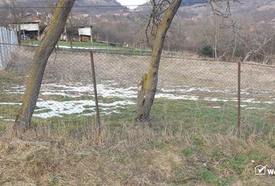 Teren autorizat, 800 mp, Ciurila - 5