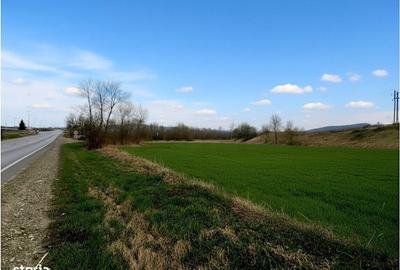 Spațiu comercial, în Pătrăuți - 4