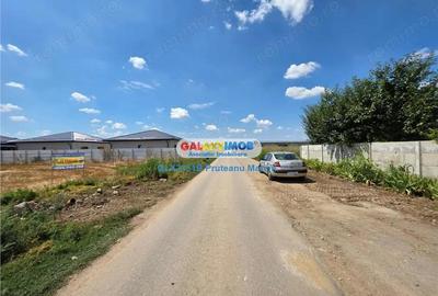 Teren de 3995 mp, în Clinceni - 6