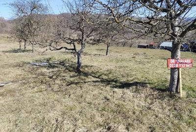 Teren de 1457 mp, în Micloșanii Mari - 2
