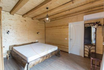 Casa de vacanta sau rezidentiala cu lac si ciubar Nucsoara-Arges Casa de vacanta sau rezidentiala cu lac si ciubar Nucsoara-Arges - 18