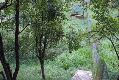 Casa de vanzare Albestii-Arges - 34