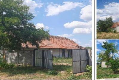 Casă cu 2 camere cu Teren 2877 Mp în Livezile