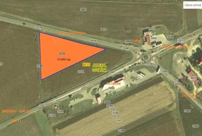 Teren de 10000 mp, în Reci - 3