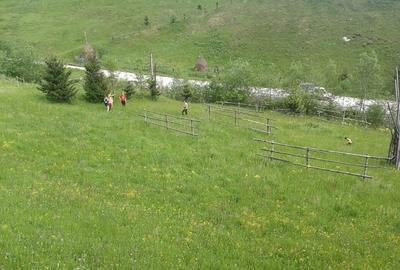 Teren extravilan de 1500 mp, în Maieru - 7