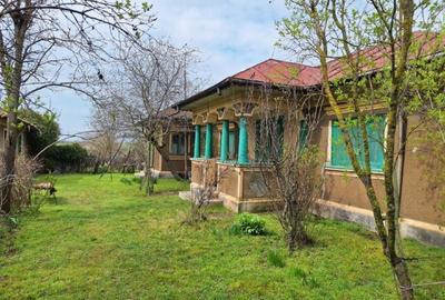 Casă individuală cu 4 camere cu Teren 3400 Mp în Central - 11