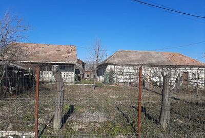 Casă cu 5 camere cu Teren 1000 Mp în Lăpușata - 3