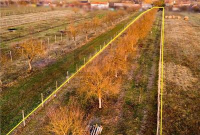 Teren de 5342 mp, în Țețchea - 5