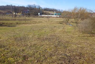 Teren Construcții intravilan de 3384 mp, în Sud-Est - 4