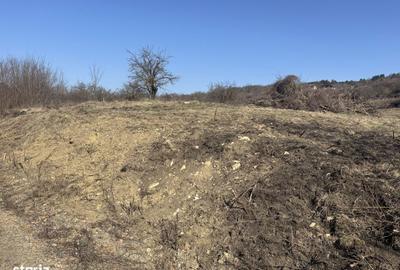 Spațiu comercial, în Iris