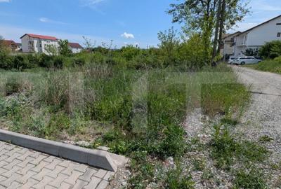 Teren de 4097 mp, în Cetate - 2