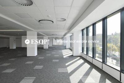 Spațiu comercial, de 390 mp, în Lujerului - 13