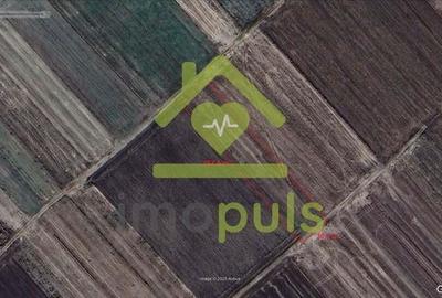 ? Teren extravilan la Pesac de 5.000 mp (1,4 euro/mp)? - 4