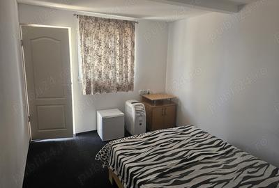 Vand casa in Costine?ti cu 14 camere ?i 4 casu?e - 2