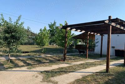 Casă cu 2 camere cu Teren 1250 Mp în Cămineasca - 6