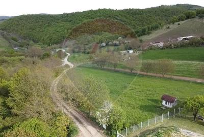 Teren extravilan de 3826 mp, în Moldovenești - 3