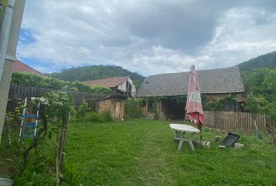 Casa de vanzare sat Stupini Casa de vanzare sat Stupini - 2