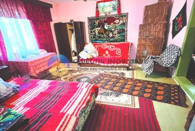 CASA traditionala BICAZU ARDELEAN + teren extravilan 1,6 hectare - 11