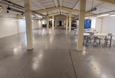 Inchiriez spatiu productie Freidorf - 3