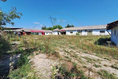 Proprietate industriala de vanzare – Hartiesti, jud. Arges - 1