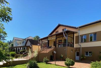 Pensiune functionala arhitectura deosebita Buzias - 2