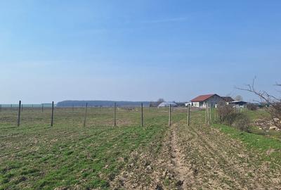 Teren în Bălăceanca - 7