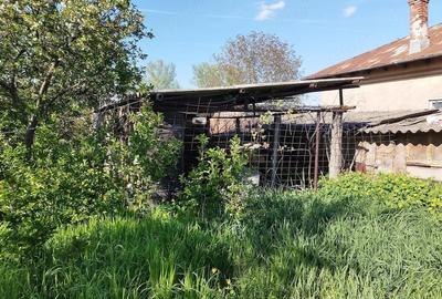 Casă cu 3 camere cu Teren 3500 Mp în Slobozia - 9