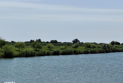 Spațiu comercial, în Borș - 17