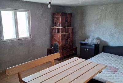 Casă cu 4 camere cu Teren 8700 Mp în Central - 3