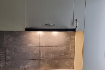 Apartament cu 2 camere decomandat în Ostroveni - 10