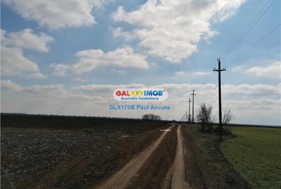 Teren Construcții intravilan de 12500 mp, în Balotești - 1