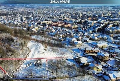 Teren de 2868 mp, în Săsar - 13