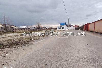 Teren de 7000 mp, în Bradu - 9