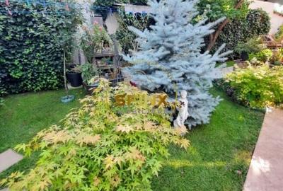 Casă individuală cu 5 camere cu Canalizare în Giulești - 36