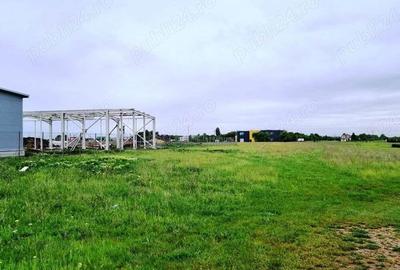 Vanzare Teren Industrial 3000mp Magurele Vanzare Teren Industrial 3000mp Magurele - 5