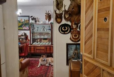 Apartament,3 camere,Govandari - 3