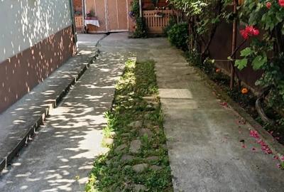 Casă cu 4 camere în Coman - 2