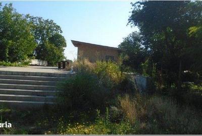 Casă cu 4 camere în Sârbi - 7