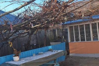 Casă individuală cu 3 camere cu Teren 95 Mp în Horga - 2