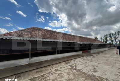 Spațiu comercial, de 12,599 mp, în Central - 3