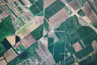 Clinceni- Domnesti, Autostrada A0 - 2