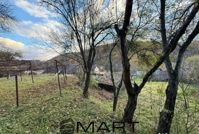 Casă cu 3 camere cu Canalizare în Central - 6