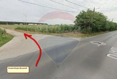 Teren de vanzare , 3 loturi*500mp, utilitati, Cozieni,  Ganeasa,