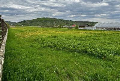 Teren de 4000 mp, în Oituz - 3