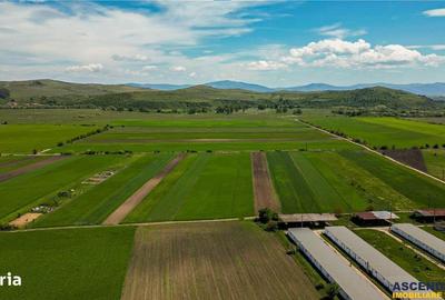 Spațiu comercial, în Bod